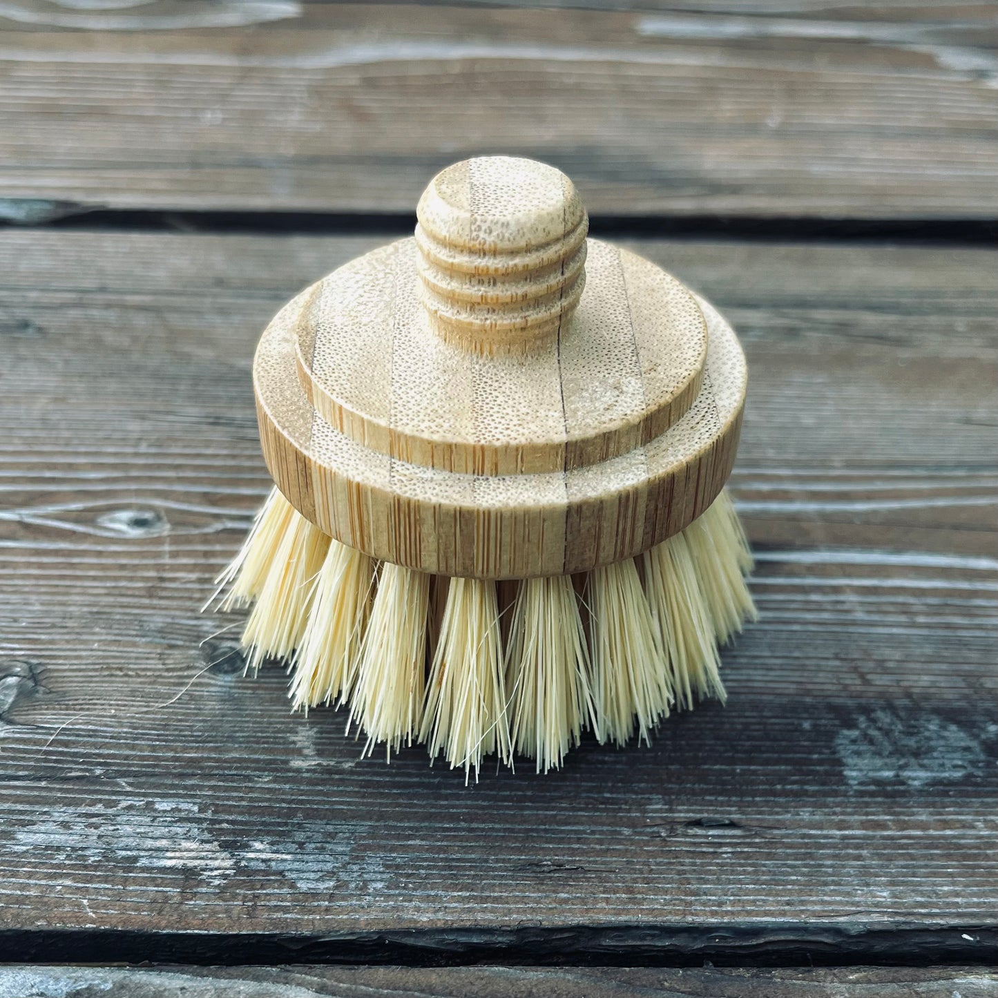 Replacement Dish Brush Heads