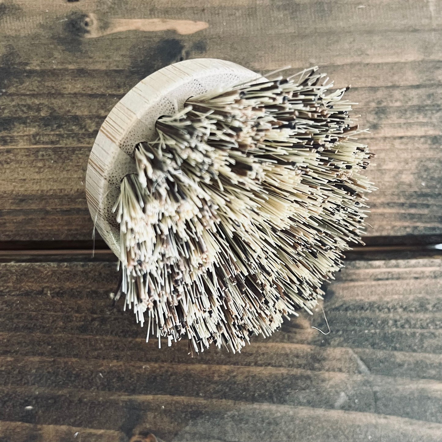 Bamboo Dish Brushes